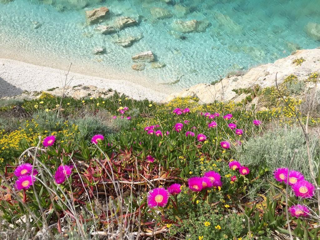 Experience Relais " Il Termine Elba " Hotel Rio Marina Buitenkant foto